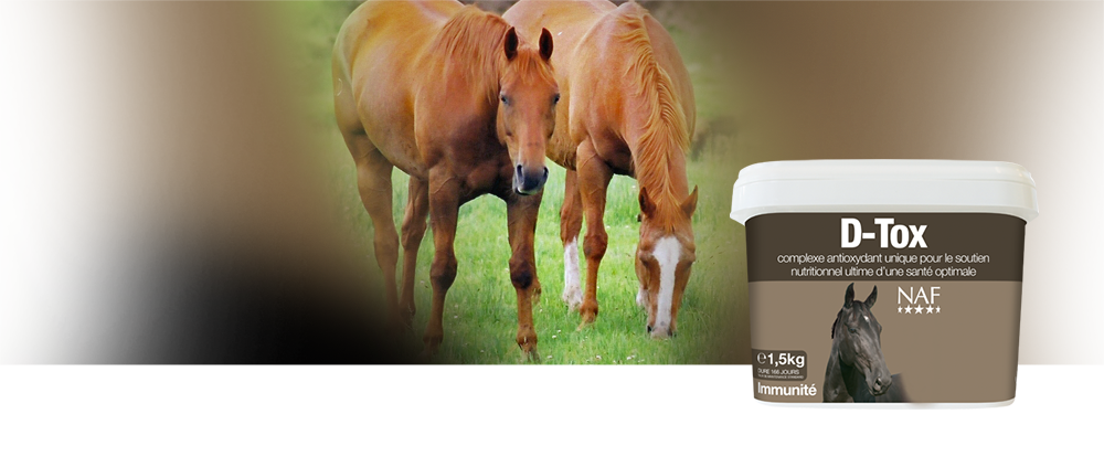 Un complexe antioxydant unique pour le soutien nutritionnel d'une santé optimale, Les toxines radicales libres en excès s'accumulent dans l'organisme chaque fois que le cheval ressent tout type de traumatisme