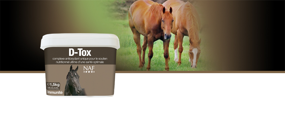 Un complexe antioxydant unique pour le soutien nutritionnel d'une santé optimale, Les toxines radicales libres en excès s'accumulent dans l'organisme chaque fois que le cheval ressent tout type de traumatisme