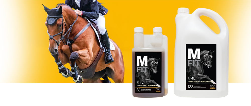 Voeg M Fit toe aan aan de dagelijkse voeding van uw (sport)paarden om op een natuurlijke wijze de spieren gezond te houden