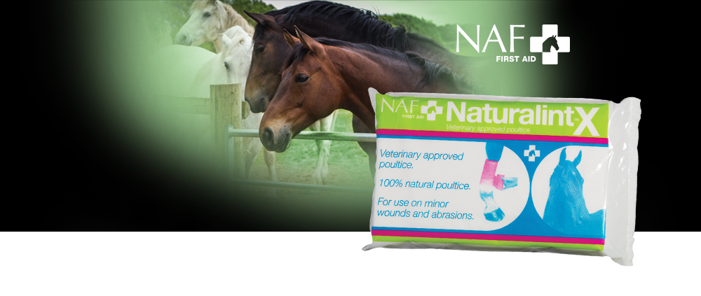 De NaturalintX compres is een sterk absorberende meerlaagse bandage geïmpregneerd met het natuurlijk en mild reinigingende tragacanth en boric zuur.