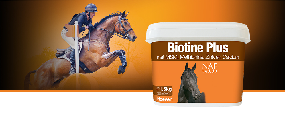 Biotine Plus bevat methionine, MSM, zink en calcium om gezonde hoeven te behouden