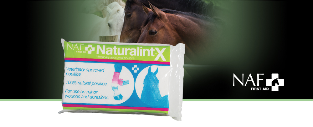 De NaturalintX compres is een sterk absorberende meerlaagse bandage geïmpregneerd met het natuurlijk en mild reinigingende tragacanth en boric zuur.