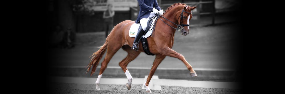 Biedt u optimaal geconcentreerde brokjes voor het optimaal in conditie houden van uw paard.