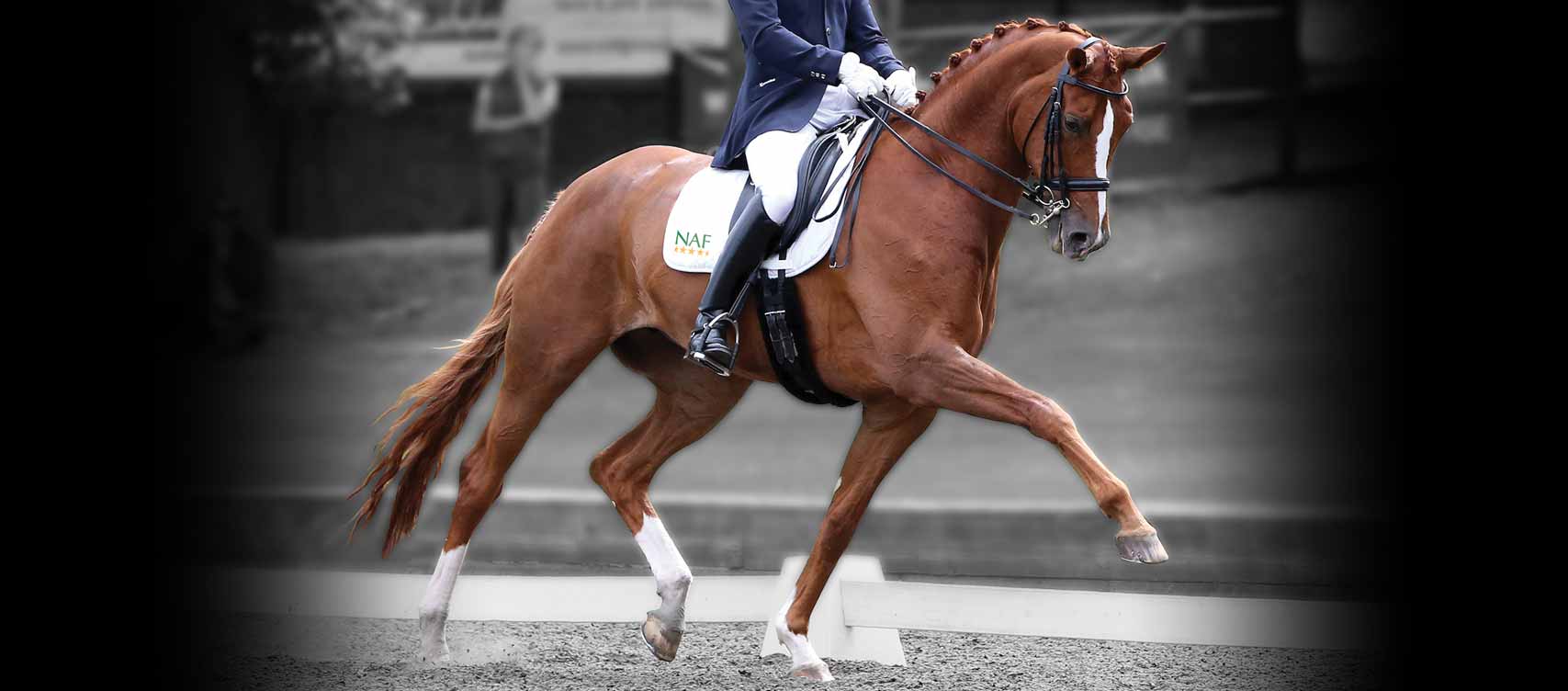 Biedt u optimaal geconcentreerde brokjes voor het optimaal in conditie houden van uw paard.