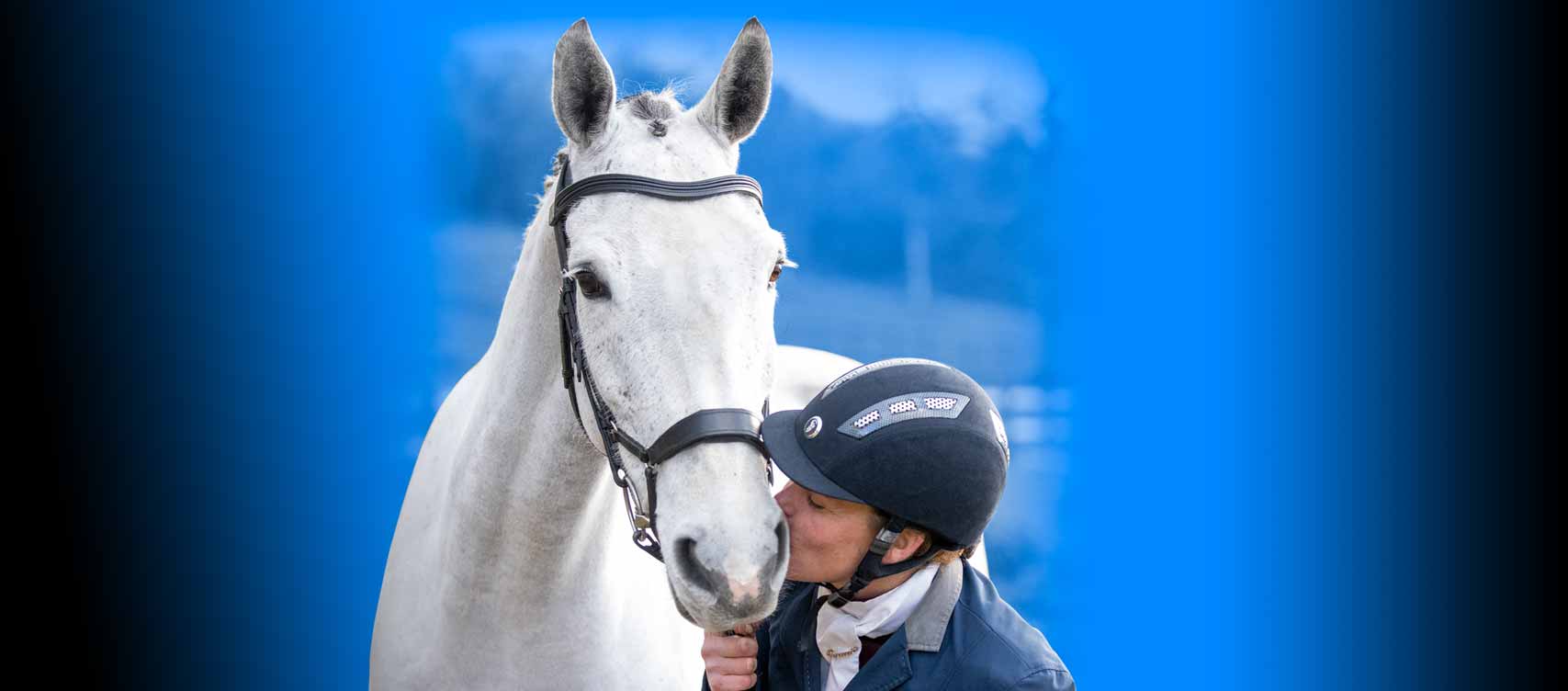 Ons doel is een ontspannen, kalm  en bedaard paard, elke dag