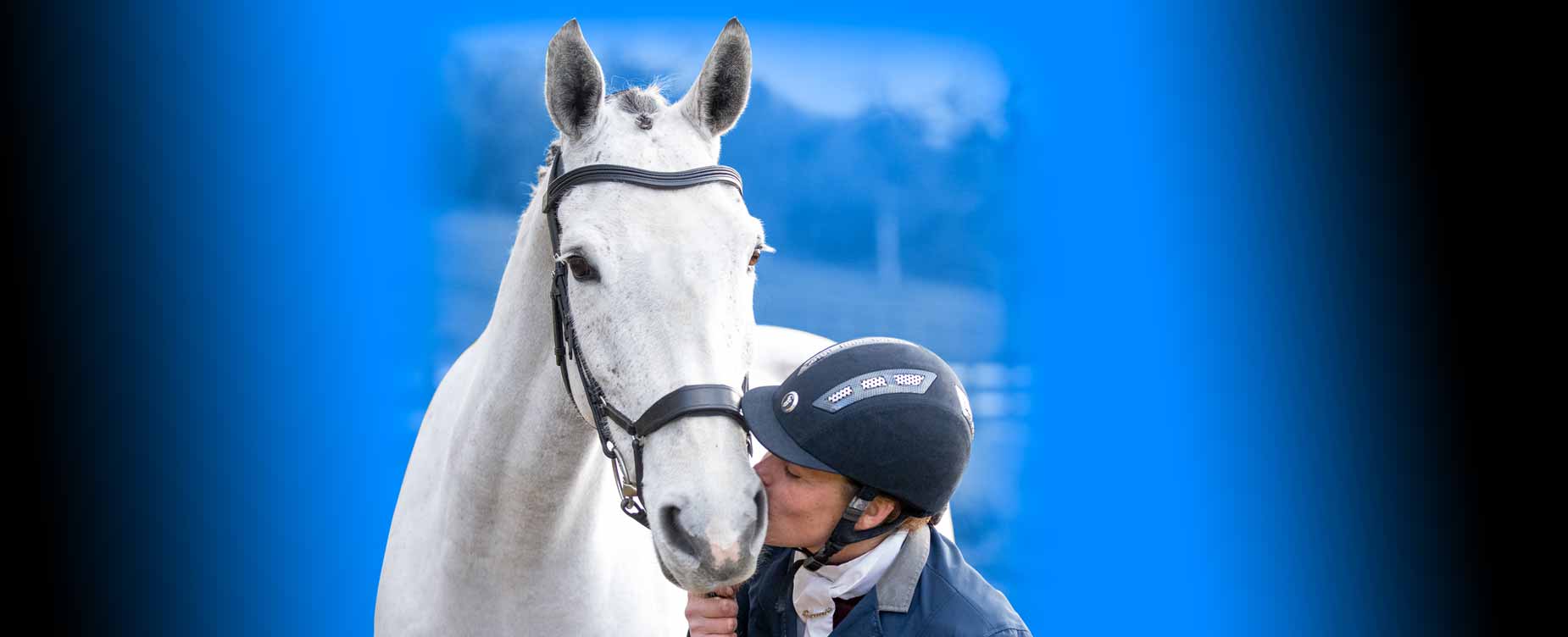 Ons doel is een ontspannen, kalm  en bedaard paard, elke dag