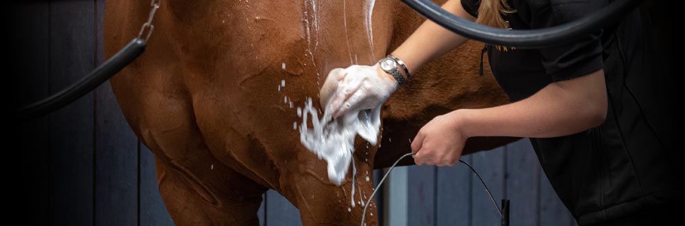 Ons doel is om u een product voor elke verzorgingsbehoefte van uw paard te bieden