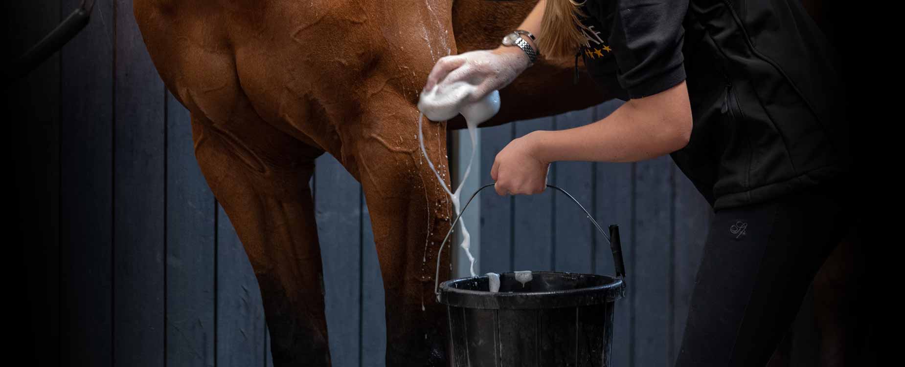 Ons doel is om u een product voor elke verzorgingsbehoefte van uw paard te bieden