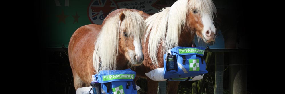 Ons doel is om op natuurlijke  wijze te zorgen voor uw paard