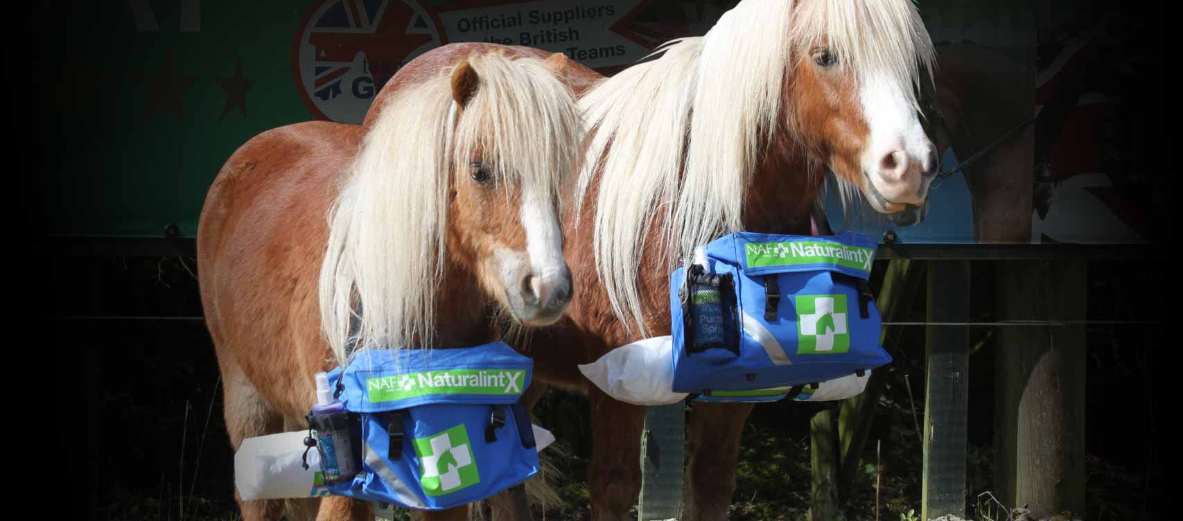 Ons doel is om op natuurlijke  wijze te zorgen voor uw paard