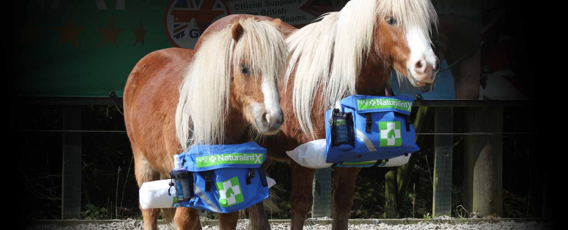 Ons doel is om op natuurlijke  wijze te zorgen voor uw paard