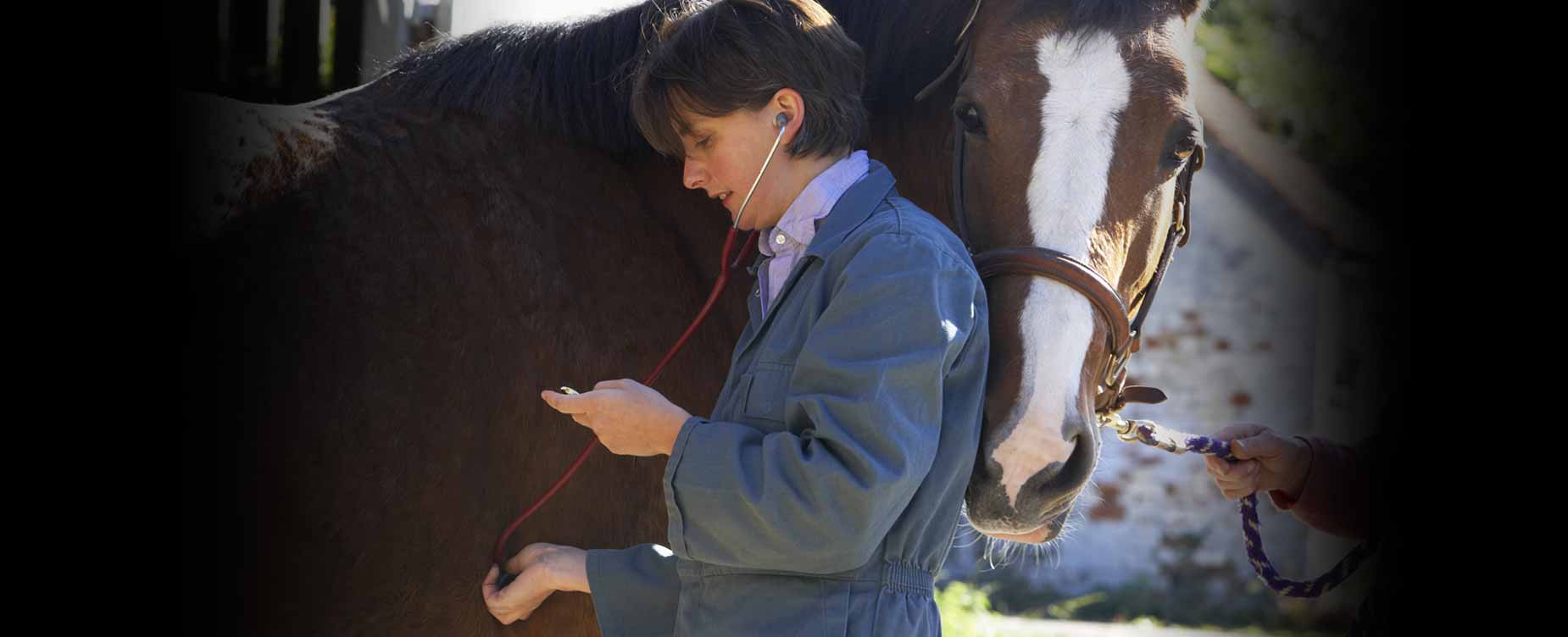 Ons doel is om extra ondersteuning te bieden voor je paard als hij het het hardst nodig heeft