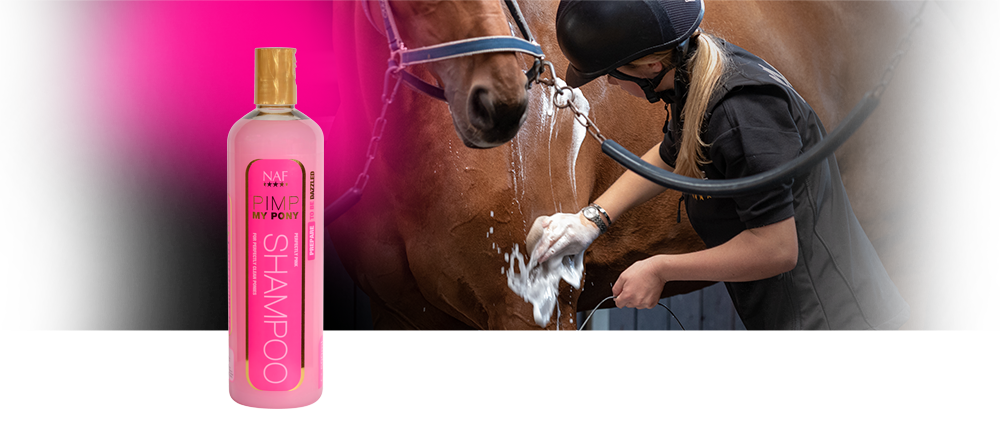 Det perfekt rosa schampot som gör smutsiga ponnyer skinande rena och väldoftande.
