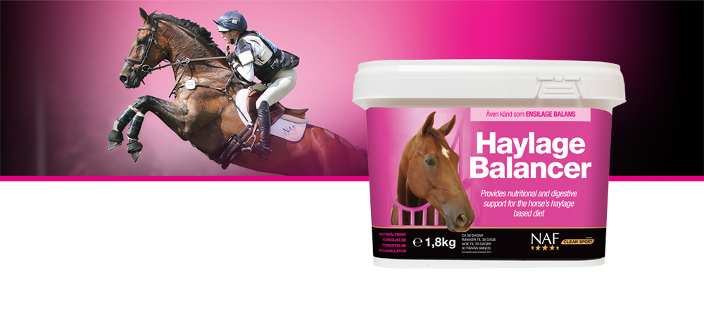 Haylage Balancer en naturlig formula som hjälper din häst att maximera det näringmässiga upptaget av hösilage och bibehålla hälsosam mag- och tarmhälsa.