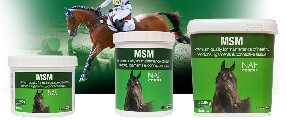 Pure MSM for the health of tendons, ligaments, muscle and soft tissue