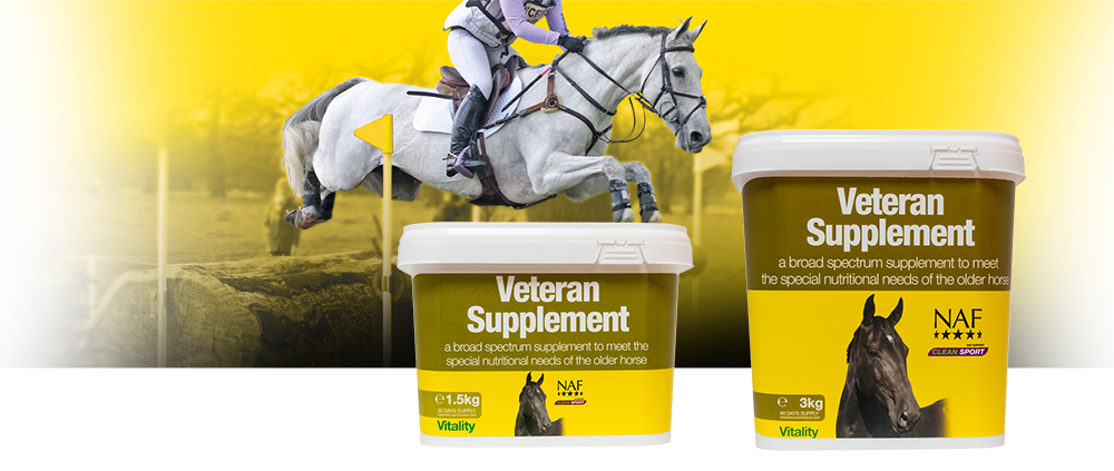 Formulated specifically to meet the needs of the older horse and pony