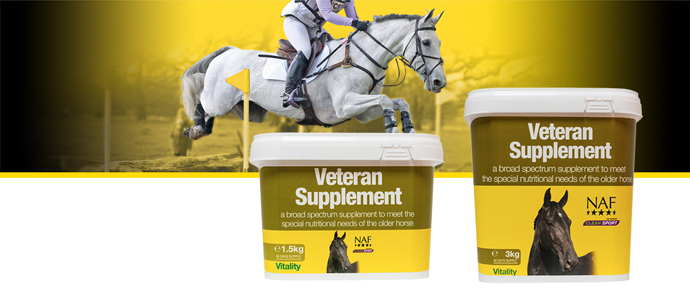 Formulated specifically to meet the needs of the older horse and pony