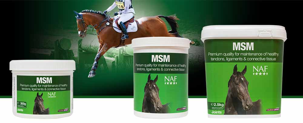 Pure MSM for the health of tendons, ligaments, muscle and soft tissue