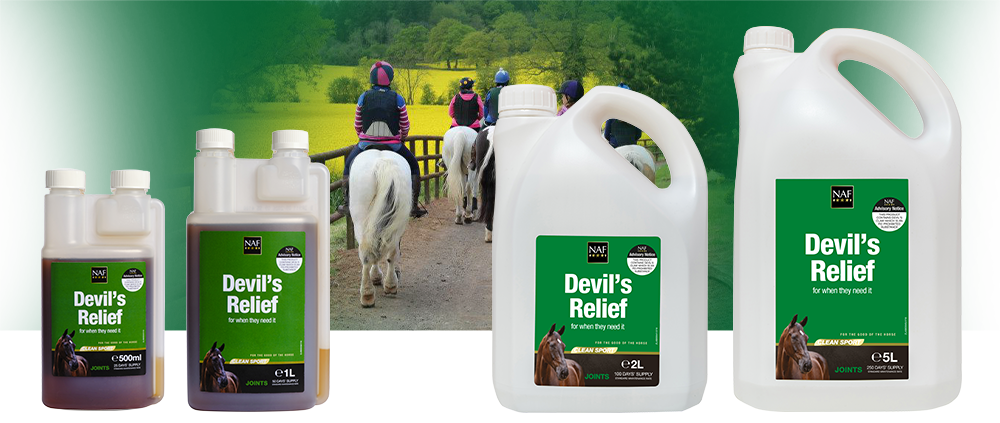 Natural relief to comfort old or stiff joints. <br><br> <strong>This product contains devil's claw which is an FEI prohibited substance</strong>