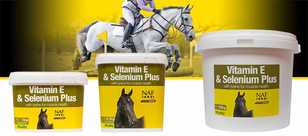 Formulated to support healthy muscle function, fitness and reproductive efficiency