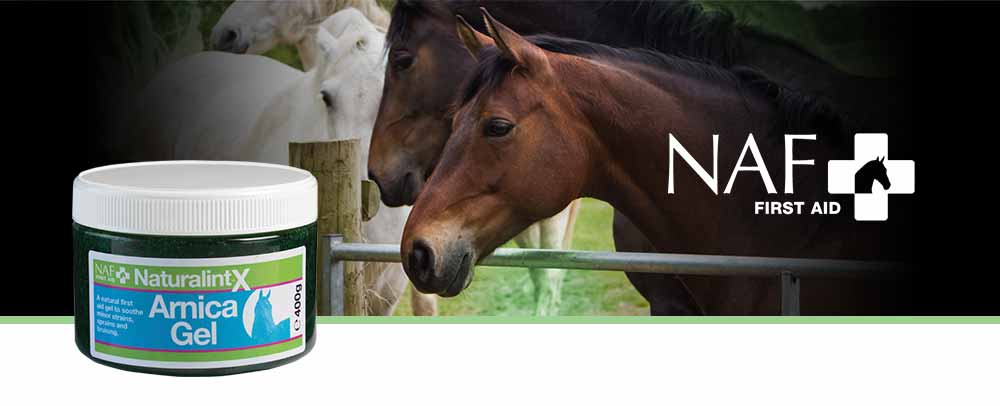 A smooth, cooling gel to soothe minor strains
