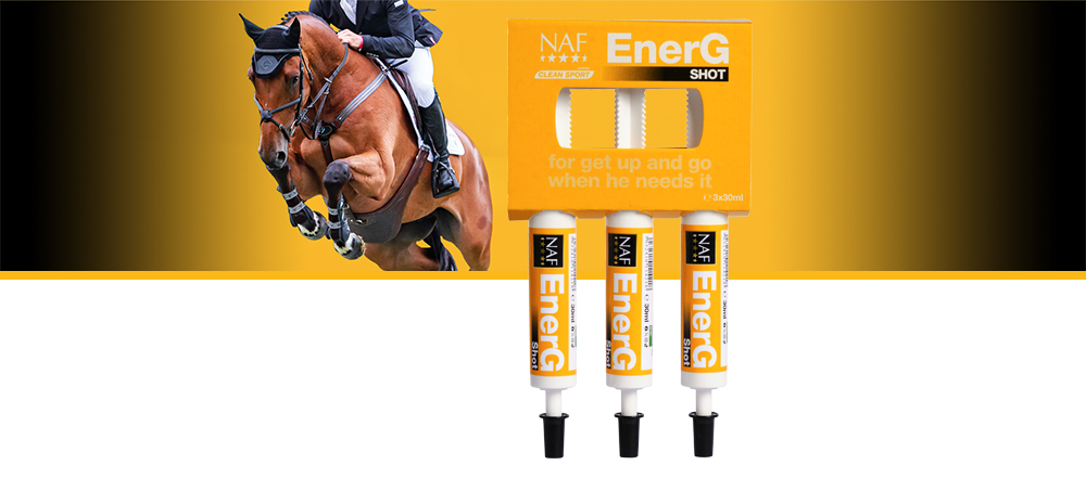 Energ Shot är en koncentrerad näringsrik blandning av essentiella aminosyror och biotillgängligt järn som stödjer energiomsättningen, produktionen av röda blodkroppar och hjälper till att ersätta svettförluster