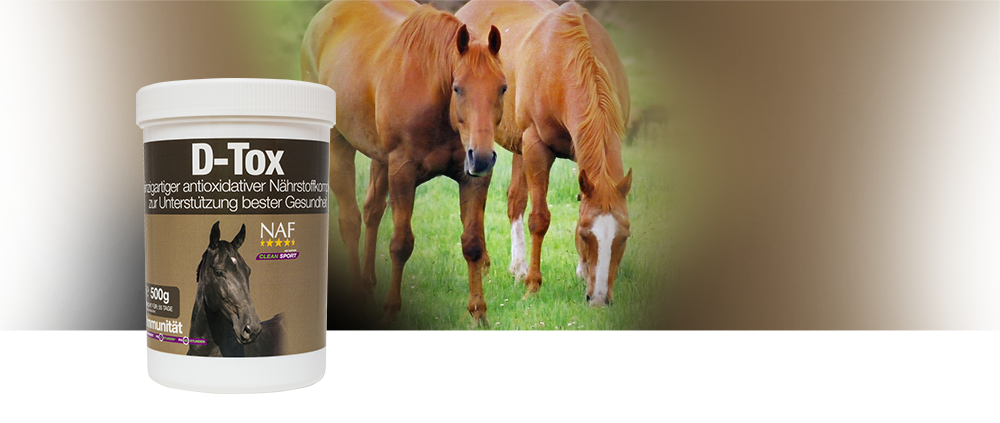 D-Tox ist ein einzigartiger Antioxidantienkomplex zur Erhaltung einer optimalen Pferdegesundheit.