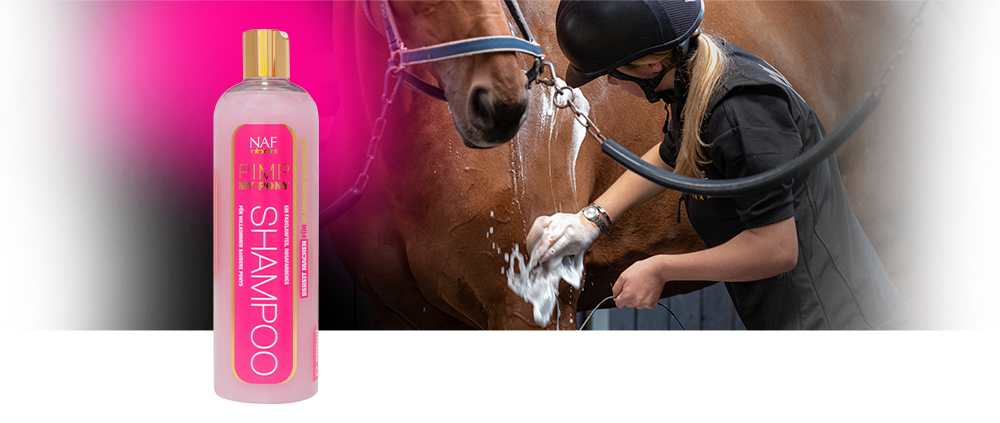 Ein perfektes pinkes Shampoo speziell für blitzblanke und gut riechende Ponys