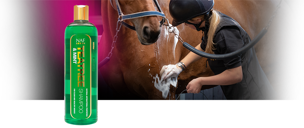 Reinigen und beruhigen Sie die Haut ihres Pferdes mit diesem milden antibakteriellen Shampoo.