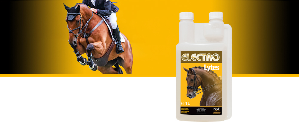Diese flüssigen Elektrolyte enthalten die vier essentiellen Körpersalze, die ein Pferd bei harter Arbeit, beim Schwitzen oder auch während heißem Wetter verlieren kann.