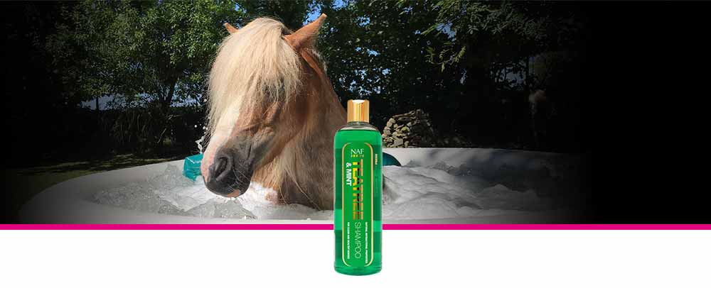 Reinigen und beruhigen Sie die Haut ihres Pferdes mit diesem milden antibakteriellen Shampoo.