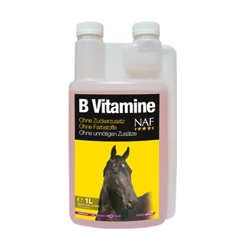 B Vitamins