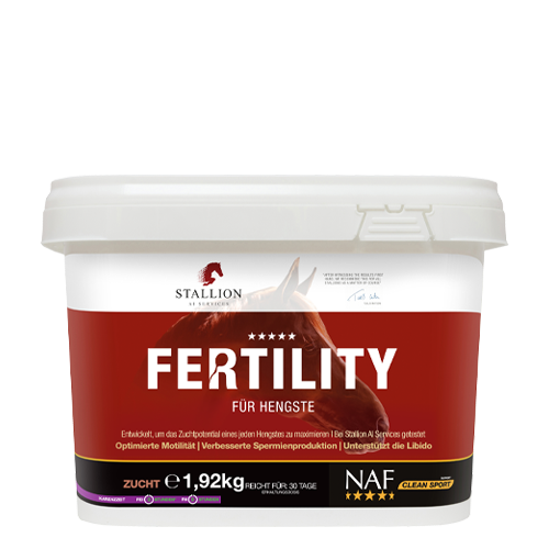 Fertility For Stallions