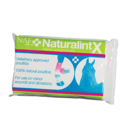 NaturalintX Wundauflage