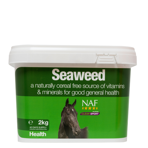 Seaweed