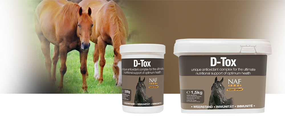 D-Tox ist ein einzigartiger Antioxidantienkomplex zur Erhaltung einer optimalen Pferdegesundheit.