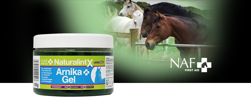 NAF NaturalintX Arnica Gel, arnica gel - chiropractorbakersfield.com