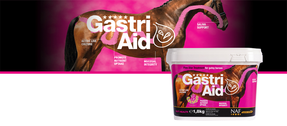 GastriAid wurde speziell für Pferde und Ponys mit empfindlichem Magen entwickelt.