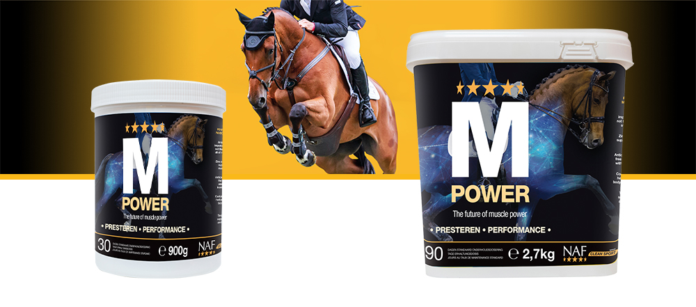 Für beste Muskulatur, Kraft und Ausdauer. M Power ist ein herausragendes Produkt zur Unterstützung eines natürlichen, gesunden Muskelaufbaus.