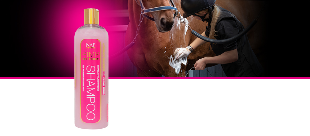 Ein perfektes pinkes Shampoo speziell für blitzblanke und gut riechende Ponys