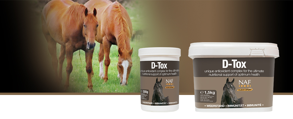D-Tox ist ein einzigartiger Antioxidantienkomplex zur Erhaltung einer optimalen Pferdegesundheit.
