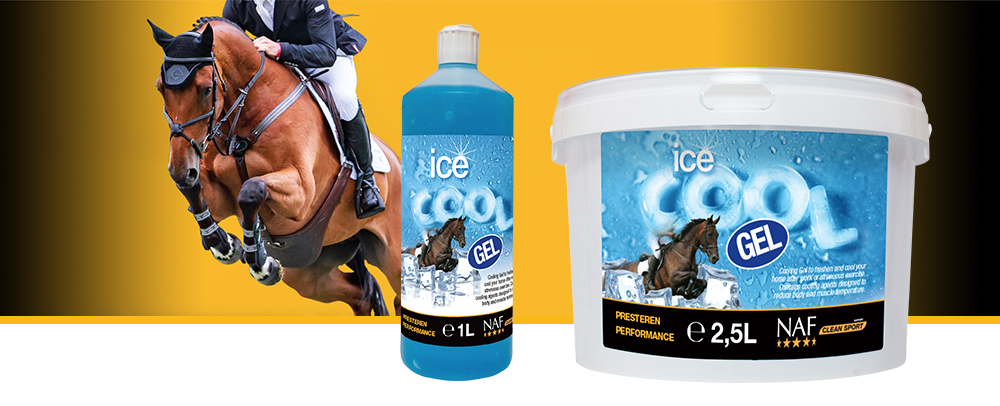 ?Ice Cool ist ab sofort auch als kühlendes Gel erhältlich.
