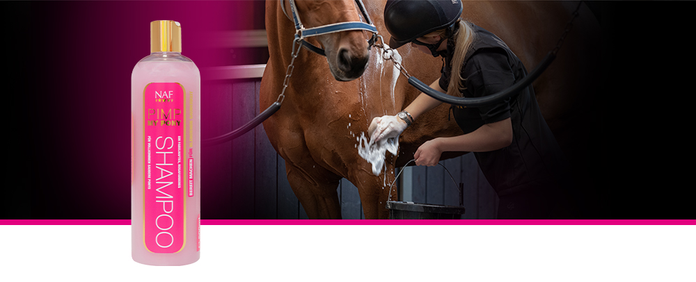 Ein perfektes pinkes Shampoo speziell für blitzblanke und gut riechende Ponys