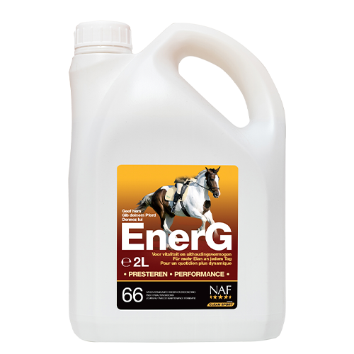 EnerG