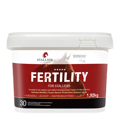 Fertility for Stallions