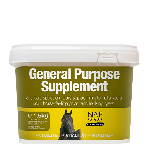 General Purpose Supplement