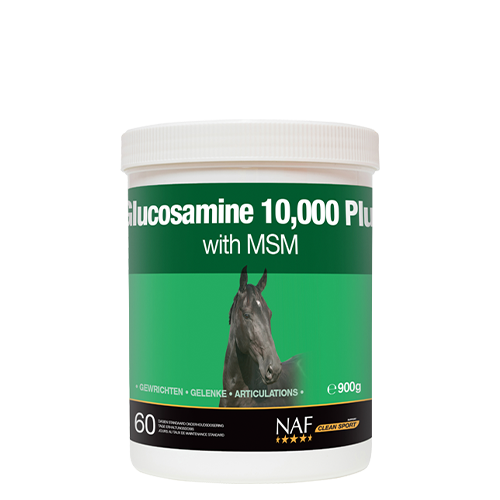 Glucosamine 10000 Plus mit MSM