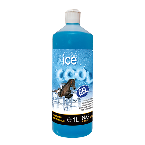 Ice Cool Gel
