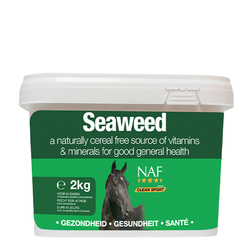 Seaweed