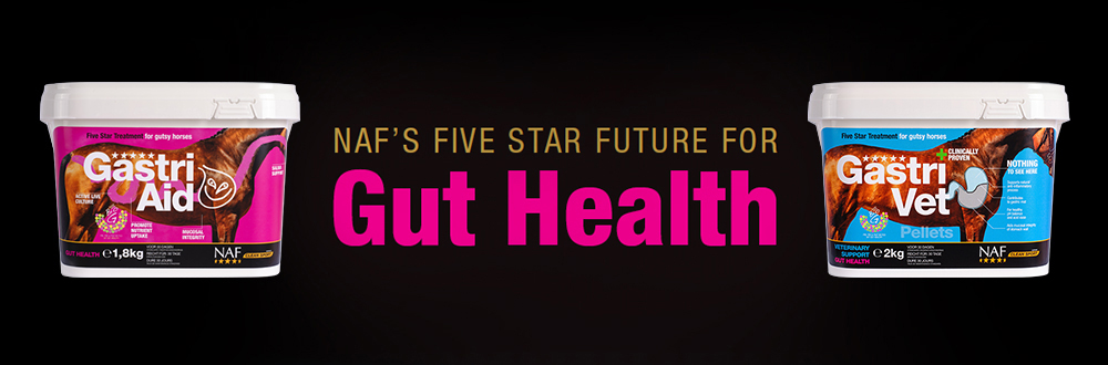 Gut Health